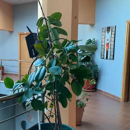 Blue Eye Hotel